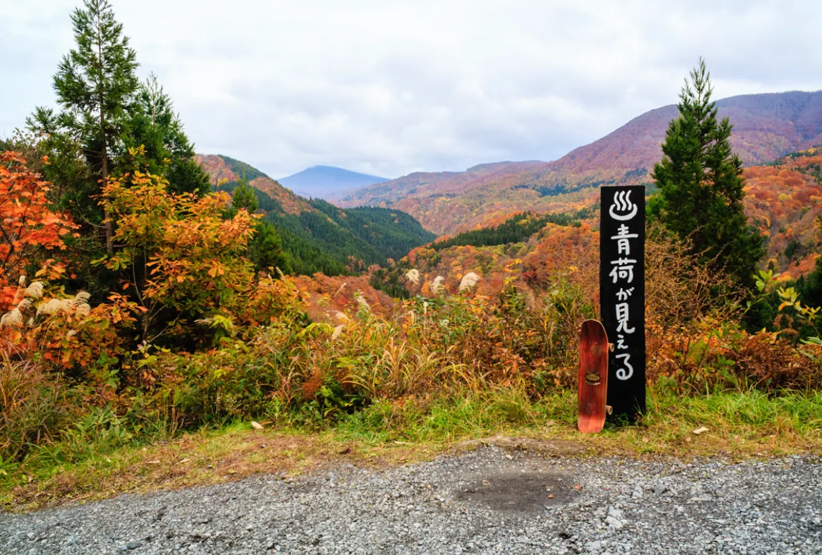 Notes from distant roads2