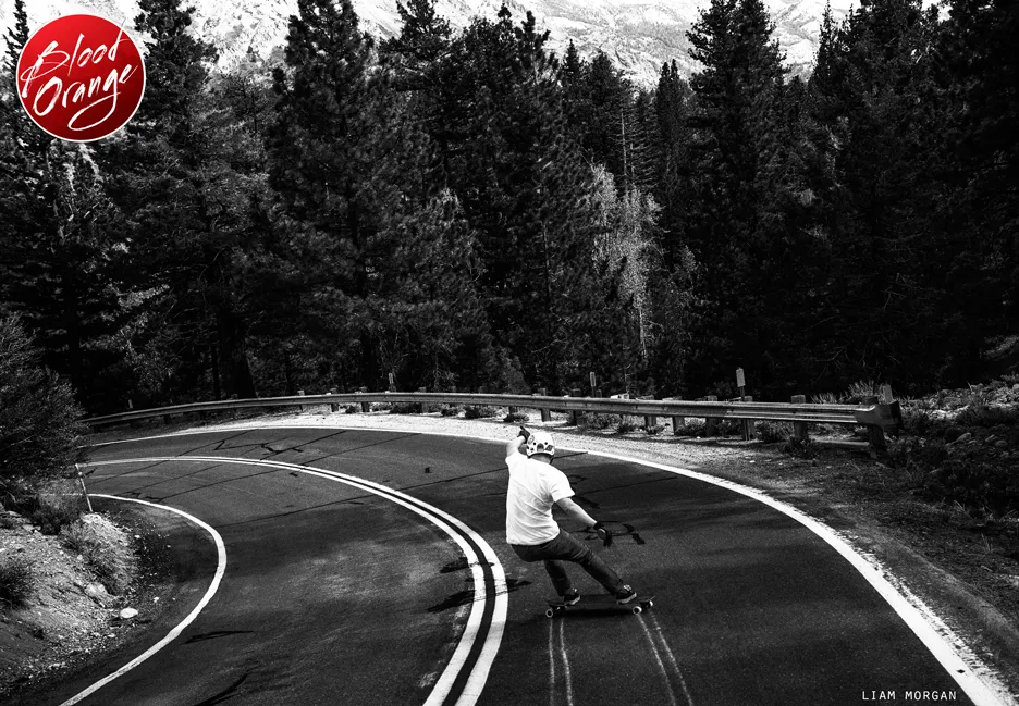 ブラッドオレンジの画像1 画像:ブラッドオレンジ_1