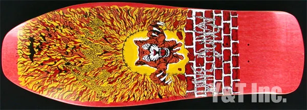 アルバ タイガーの画像1 画像:アルバ タイガー_1