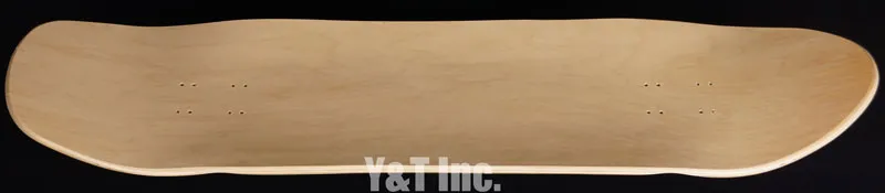 画像:コメット ノアサカモト_9