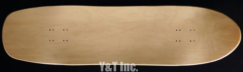 画像:コメット ノアサカモト_10