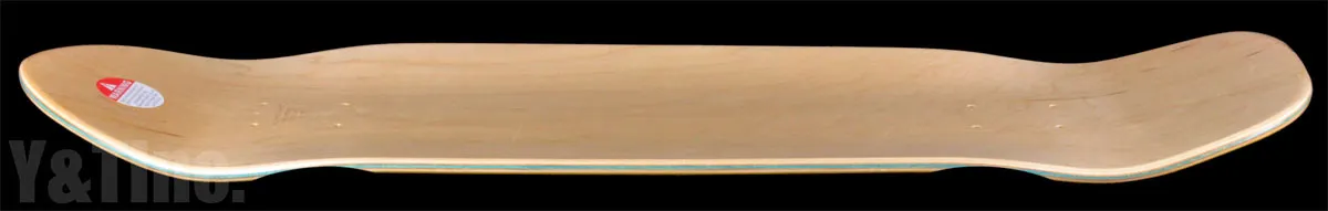 ドッグタウン プールシリーズ ビッグボーイ イエローの画像3 画像:ドッグタウン プールシリーズ ビッグボーイ イエロー_3