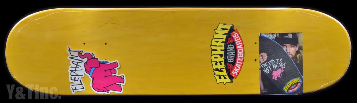 エレファント ラージロゴ ステインブルーの画像3 画像:エレファント ラージロゴ ステインブルー_3