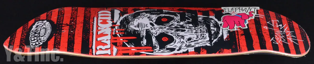 エレファント ジェイソンアダムス ランシドの画像2 画像:エレファント ジェイソンアダムス ランシド_2