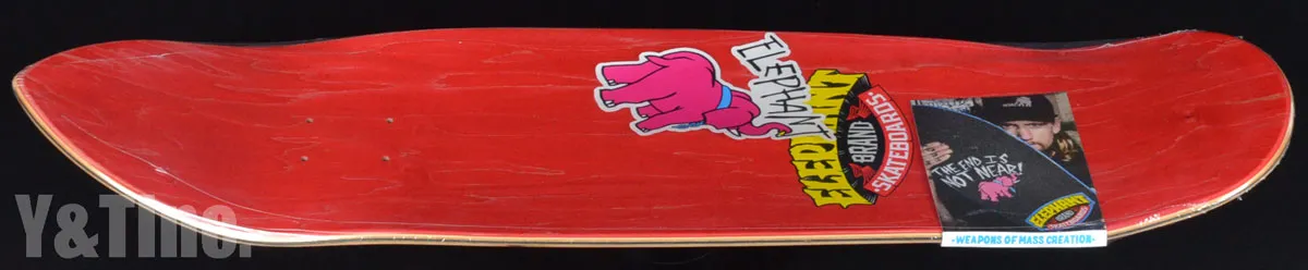 エレファント ジェイソンアダムス ランシドの画像4 画像:エレファント ジェイソンアダムス ランシド_4