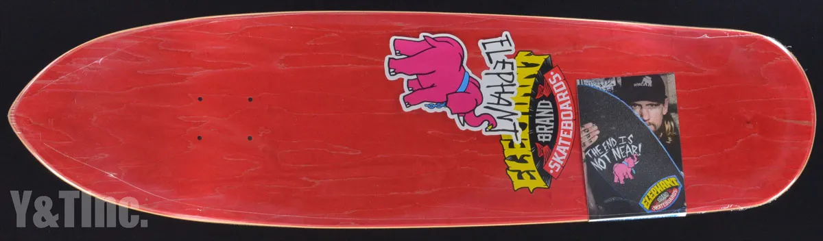 エレファント ジェイソンアダムス ランシドの画像5 画像:エレファント ジェイソンアダムス ランシド_5