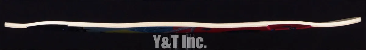 画像:レイン ダークサイド バルチャー_6