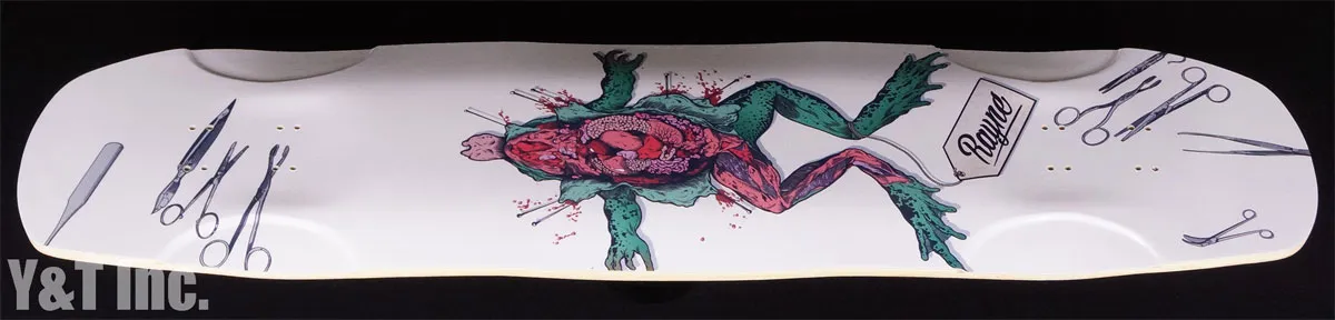 画像:レイン ダブルブライトサイド_2