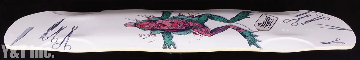 画像:レイン ダブルブライトサイド_3