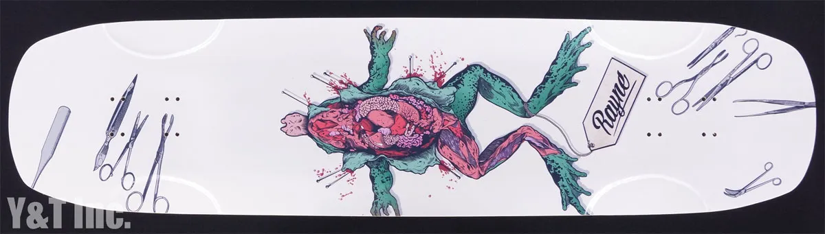 画像:レイン ダブルブライトサイド_1