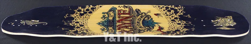 レイン フォーチュンの画像8 画像:レイン フォーチュン_8