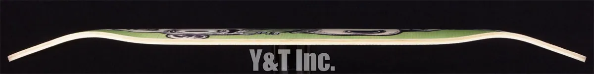 画像:レイン V2 ホームレッカー_5