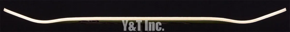 画像:レイン V2 ホームレッカー_6