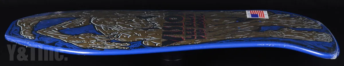 ビジョン リーラルフ プロ ブルーの画像2 画像:ビジョン リーラルフ プロ ブルー_2