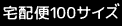 100サイズ