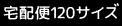 120サイズ