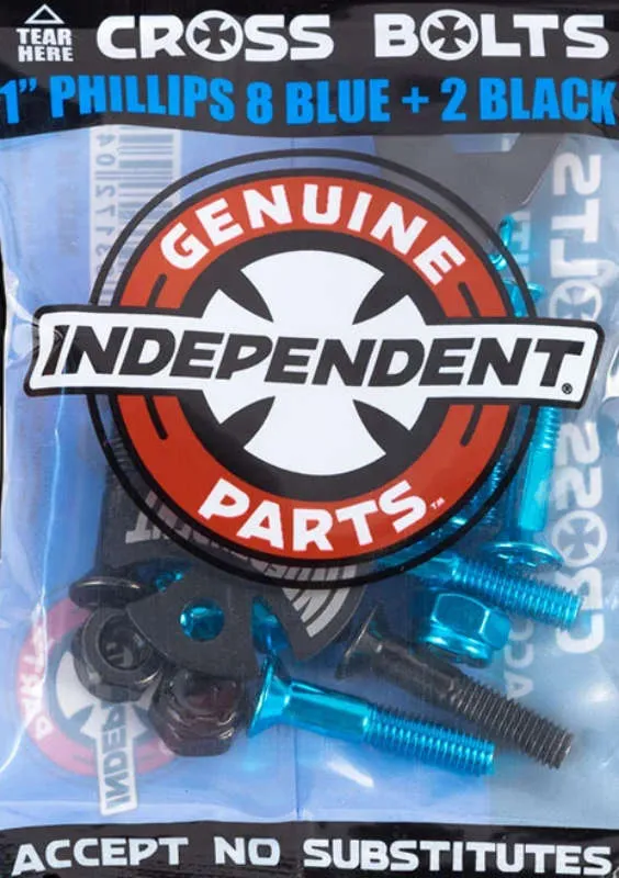 画像:インディ純正 ビスセット1.00 青８黒２_1