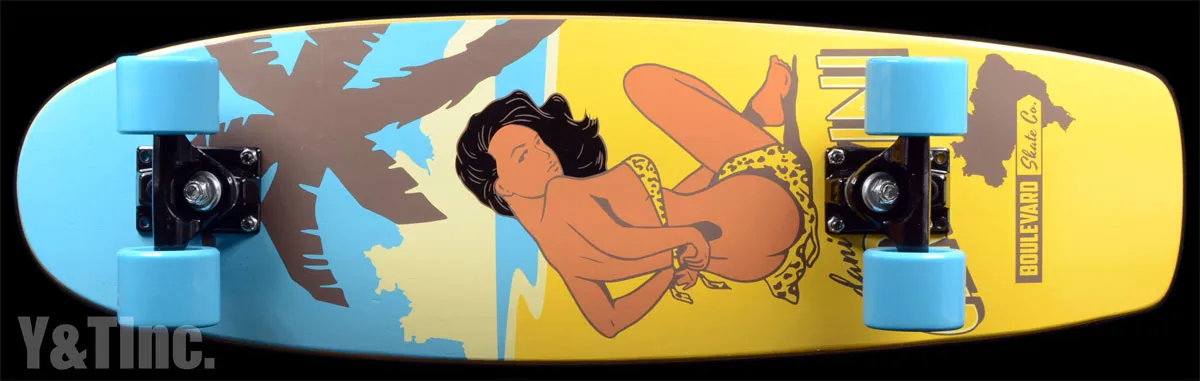 ブルバード スケートボード ダニーセレジーニ クルーザーの画像1 画像:ブルバード スケートボード ダニーセレジーニ クルーザー_1