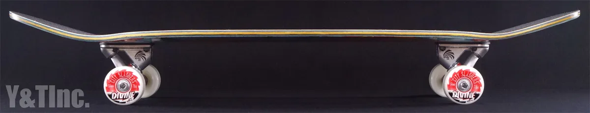 リビエラ タイファイターの画像2 画像:リビエラ タイファイター_2