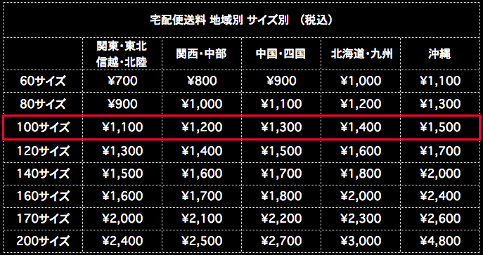 宅配便送料 100サイズ 地域別 サイズ別 税込