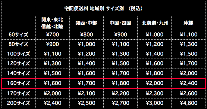 宅配便送料 160サイズ 地域別 サイズ別 税込