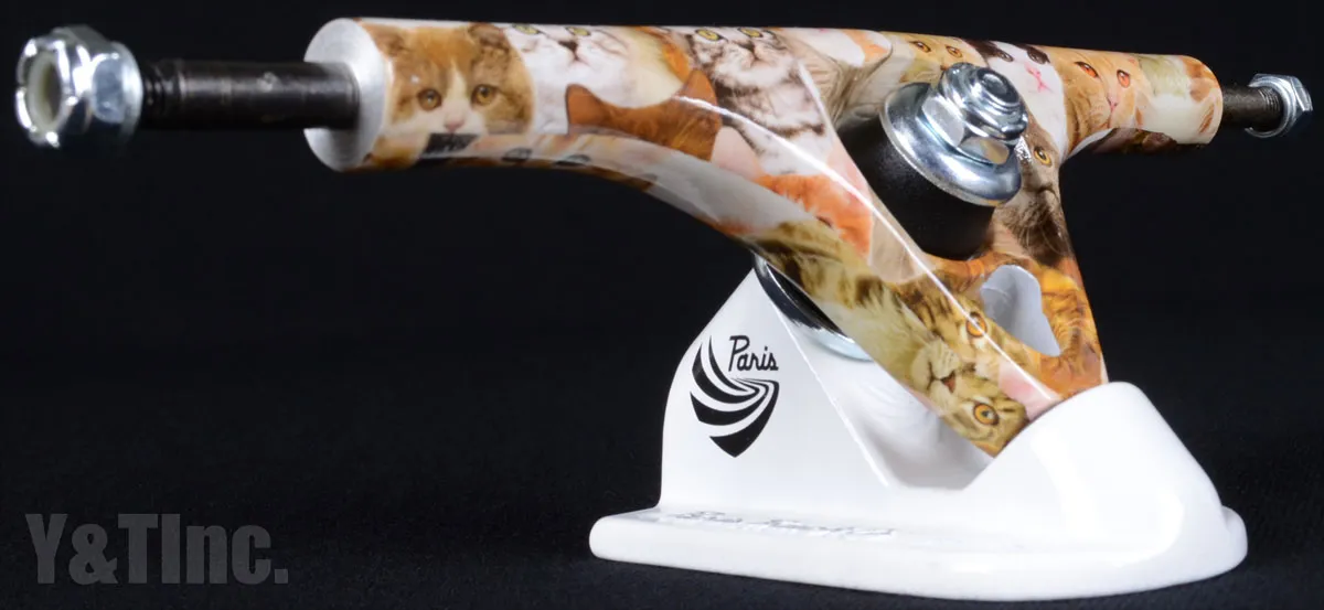 パリストラック V2 180 キッテンの画像2 画像:パリストラック V2 180 キッテン_2