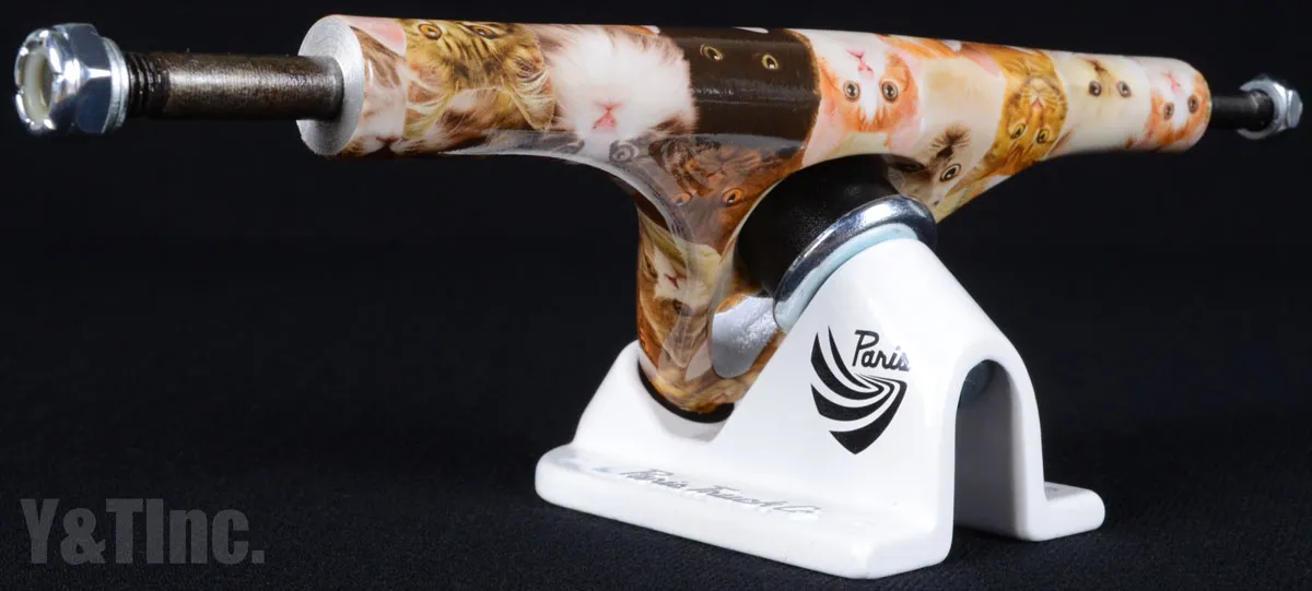 パリストラック V2 180 キッテンの画像3 画像:パリストラック V2 180 キッテン_3