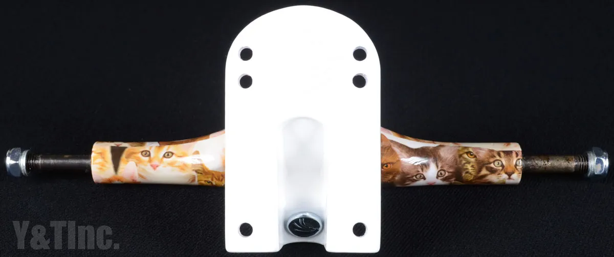 パリストラック V2 180 キッテンの画像5 画像:パリストラック V2 180 キッテン_5