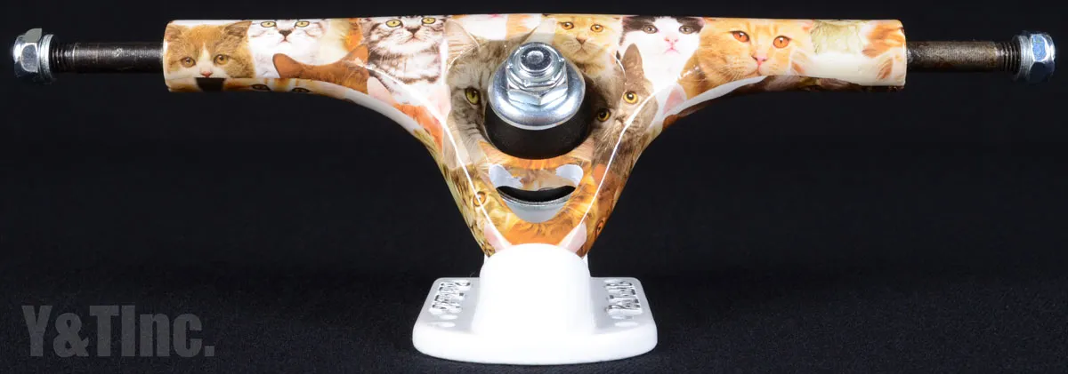 パリストラック V2 180 キッテンの画像1 画像:パリストラック V2 180 キッテン_1